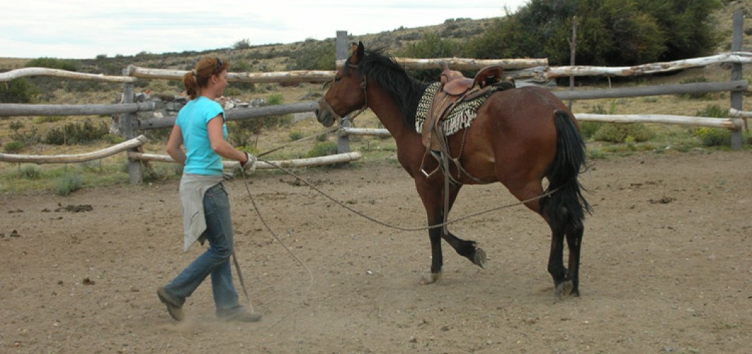 Patagonie (19)